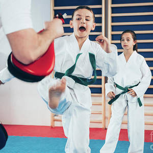 image-877879-3-children-in-taekwondo-class-microgen-imagesscience-photo-library-9bf31.jpg